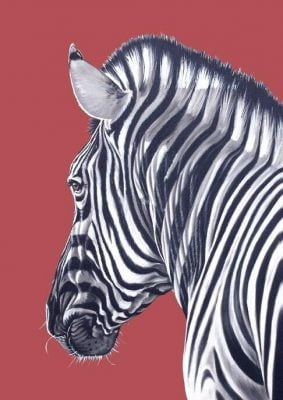 Big Bold Red Black White Zebra Wall Art Picture For Modern Apartment Entrance Hall Decor