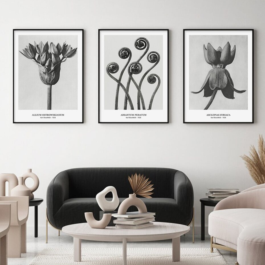 Abstract Vintage Classical Black & White Botanical Wall Art Pictures For Living Room