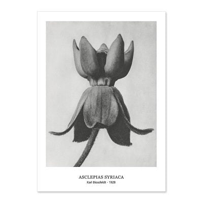 Abstract Vintage Classical Black & White Botanical Wall Art Pictures For Living Room