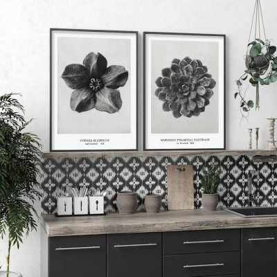 Abstract Vintage Classical Black & White Botanical Wall Art Pictures For Living Room