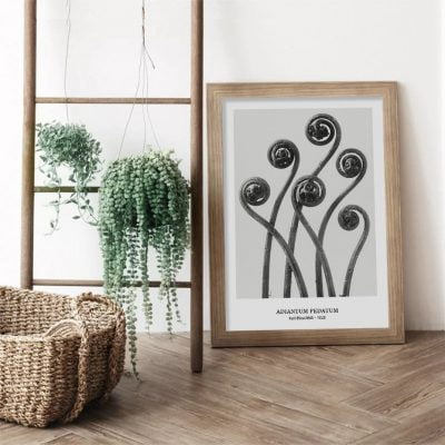 Abstract Vintage Classical Black & White Botanical Wall Art Pictures For Living Room