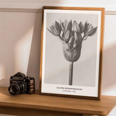 Abstract Vintage Classical Black & White Botanical Wall Art Pictures For Living Room