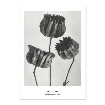 Abstract Vintage Classical Black & White Botanical Wall Art Pictures For Living Room