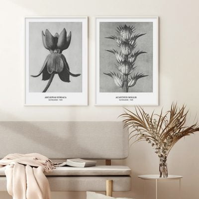 Abstract Vintage Classical Black & White Botanical Wall Art Pictures For Living Room