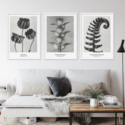 Abstract Vintage Classical Black & White Botanical Wall Art Pictures For Living Room