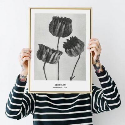 Abstract Vintage Classical Black & White Botanical Wall Art Pictures For Living Room