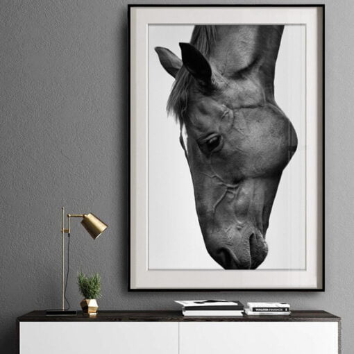 Black & White Horse Poster Wall Art Fine Art Canvas Print Equestrian Picture For Living Room