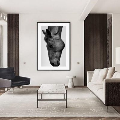 Black & White Horse Poster Wall Art Fine Art Canvas Print Equestrian Picture For Living Room