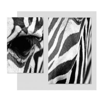 Fashion Abstract Zebra Wall Art Fine Art Canvas Print Black White Pictures For Living Room