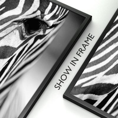 Fashion Abstract Zebra Wall Art Fine Art Canvas Print Black White Pictures For Living Room