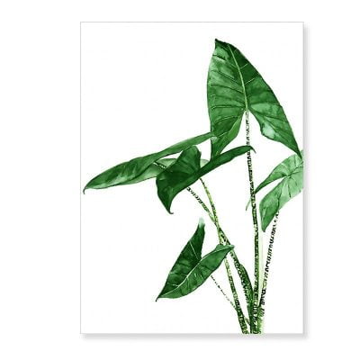 Green Leaves Strelitzia Houseplant Wall Art Scandinavian Style Pictures For Living Room