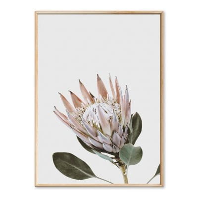 Minimalist Pink Protea Green Leaves Wall Art Modern Botanical Pictures For Living Room Decor