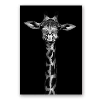 Modern Black & White Wildlife Wall Art Minimalist Nature Pictures For Home Office Interiors