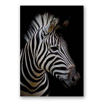 Modern Black & White Wildlife Wall Art Minimalist Nature Pictures For Home Office Interiors