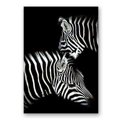 Modern Black & White Wildlife Wall Art Minimalist Nature Pictures For Home Office Interiors