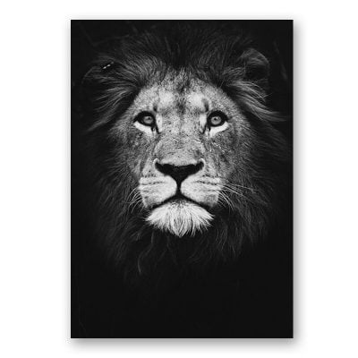 Modern Black & White Wildlife Wall Art Minimalist Nature Pictures For Home Office Interiors