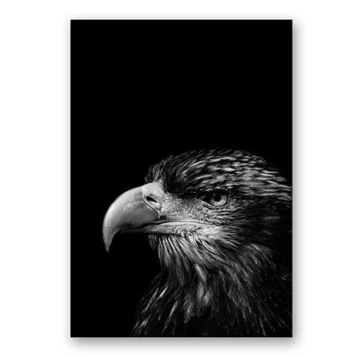 Modern Black & White Wildlife Wall Art Minimalist Nature Pictures For Home Office Interiors