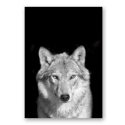 Modern Black & White Wildlife Wall Art Minimalist Nature Pictures For Home Office Interiors