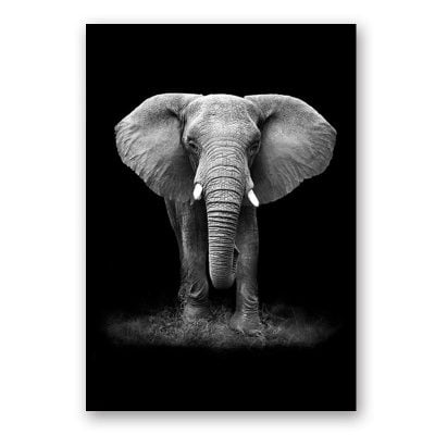 Modern Black & White Wildlife Wall Art Minimalist Nature Pictures For Home Office Interiors