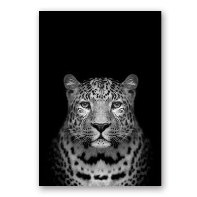 Modern Black & White Wildlife Wall Art Minimalist Nature Pictures For Home Office Interiors