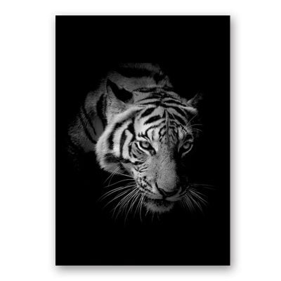 Modern Black & White Wildlife Wall Art Minimalist Nature Pictures For Home Office Interiors