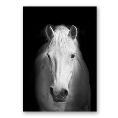 Modern Black & White Wildlife Wall Art Minimalist Nature Pictures For Home Office Interiors