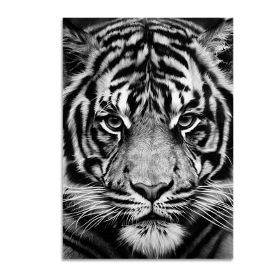 Modern Black & White Wildlife Wall Art Minimalist Nature Pictures For Home Office Interiors