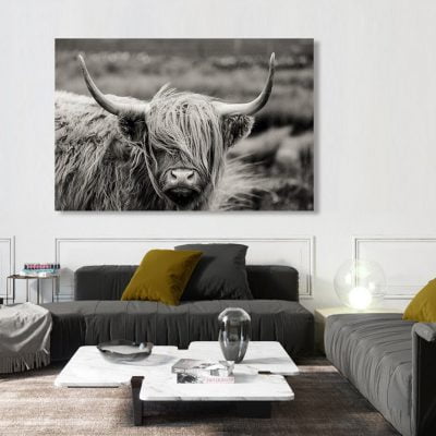 Northern Landscape Highland Cattle Wall Art Black & White Print For Home Office Decor