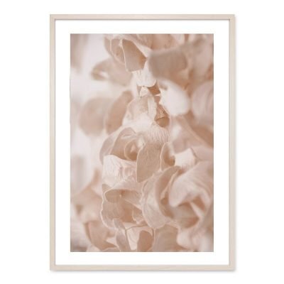 Peach Rose Bohemian Gallery Wall Art Fashion Pictures For Bedroom Living Room Decor