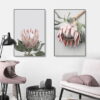 Pink Sugarbush Flowers Wall Art Tropical Botanical Modern Floral Pictures For Living Room Decor