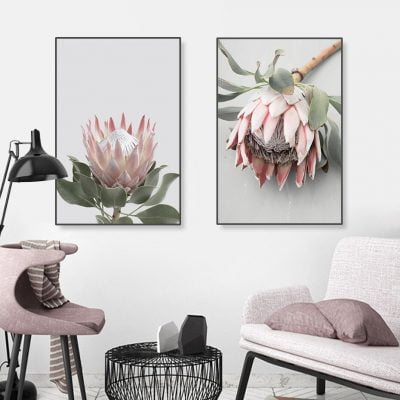 Pink Sugarbush Flowers Wall Art Tropical Botanical Modern Floral Pictures For Living Room Decor