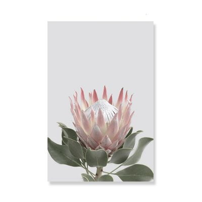 Pink Sugarbush Flowers Wall Art Tropical Botanical Modern Floral Pictures For Living Room Decor