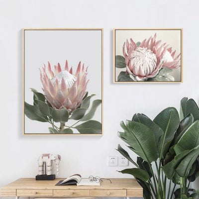 Pink Sugarbush Flowers Wall Art Tropical Botanical Modern Floral Pictures For Living Room Decor