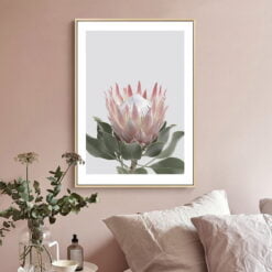 Pink Sugarbush Flowers Wall Art Tropical Botanical Modern Floral Pictures For Living Room Decor