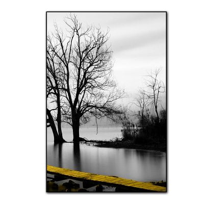 Tranquil Lakeside Black & White Wall Art Pictures Of Calm For Modern Home Office Decor