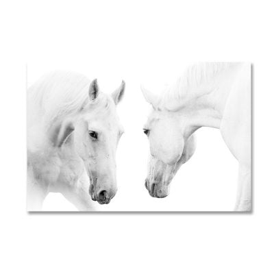 White Horse Wall Art Fine Art Canvas Prints Black & White Pictures For Modern Living Room Decor