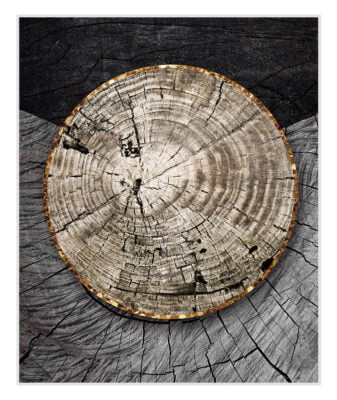 Abstract Black Wood Golden Tree Rings Wall Art Pictures For Modern Loft Living Room