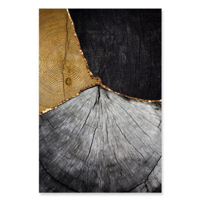 Abstract Black Wood Golden Tree Rings Wall Art Pictures For Modern Loft Living Room