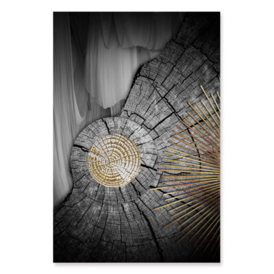 Abstract Black Wood Golden Tree Rings Wall Art Pictures For Modern Loft Living Room