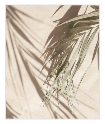 Beige Green Palm Floral Wall Art Modern Lifestyle Pictures For Living Room Bedroom Decor