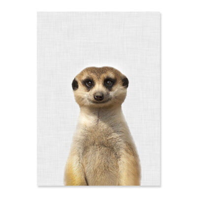 Cute Meerkat Poster Nursery Wall Art Animal Picture For Baby's Room Kids Bedroom Decor