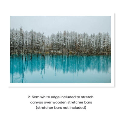Emerald Lake Winter Landscape Wall Art Fine Art Canvas Prints For Living Room Decor