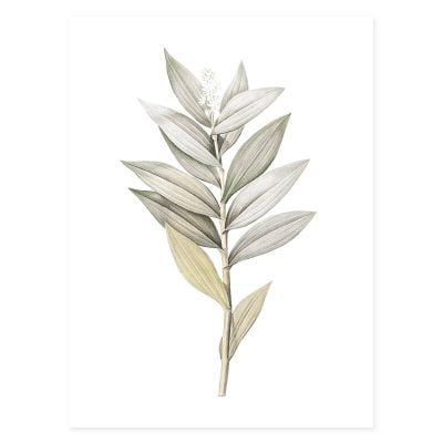 Minimalist Green Leaves Wall Art Modern Botanical Pictures For Living Room Home Decor