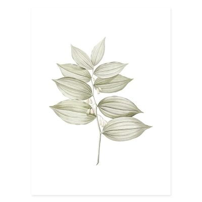 Minimalist Green Leaves Wall Art Modern Botanical Pictures For Living Room Home Decor