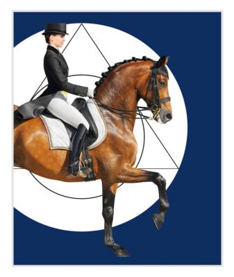 Modern Classic Dressage Wall Art Black Horse & Rider Equine Pictures For Home Office Decor