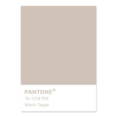 Pink Beige Warm Taupe Minimalist Gallery Wall Art Lifestyle Pictures For Living Room Decor