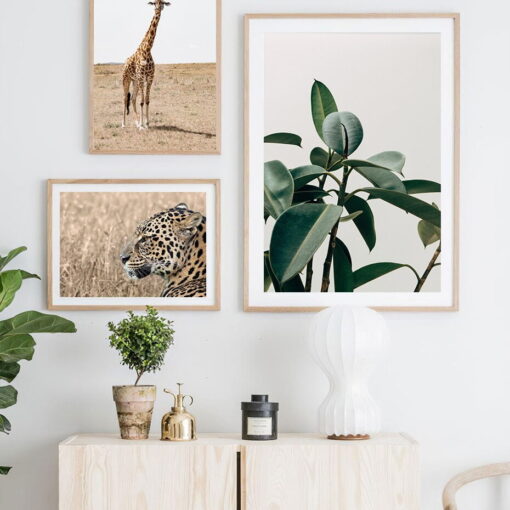 Wild Animals Of Africa Wall Art Nature Botanical Pictures For Living Room Dining Room Decor