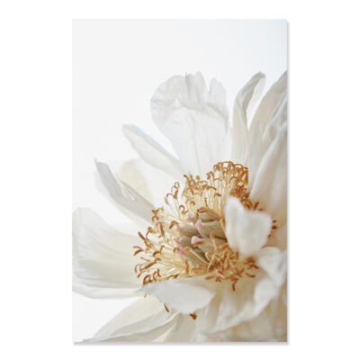 Minimalist Golden White Floral Wall Decor Lifestyle Gallery Wall Art Pictures For Living Room