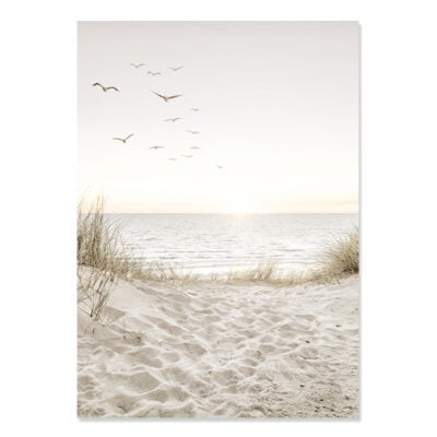 Minimalist Nature Abstract Seaside Botanical Wall Art Gallery Wall Pictures For Living Room