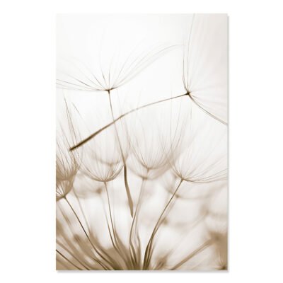 Minimalist Nature Abstract Seaside Botanical Wall Art Gallery Wall Pictures For Living Room